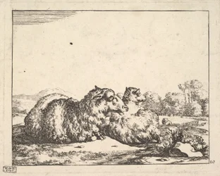 Pecore, da una serie di 16 piatti, 1664