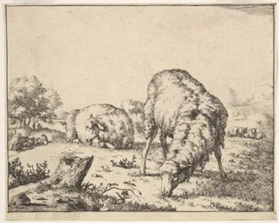 Pecora, da una serie di 16 piatti, 1664