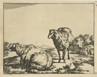 Pecora in piedi e sdraiata con fattoria sullo sfondo (serie: Schapen)