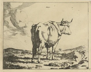 Mucca in piedi vista da dietro (Runderen)