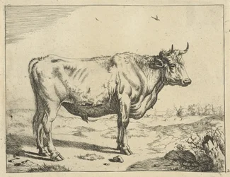Toro, in piedi a destra, con uccelli