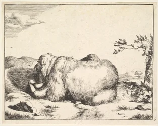 dalla serie The Bears, ca. 1664