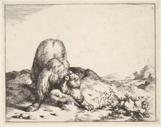 dalla serie Gli Orsi