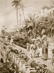 I giardini pensili di Babilonia, illustrazione da "Storia delle nazioni" di Hutchinson (litografia)