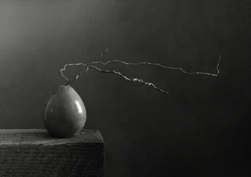 Pera e ramo monocromi