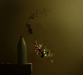Natura morta botanica di Moody