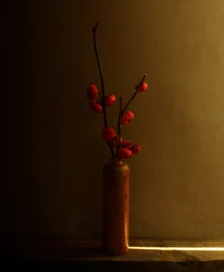 Natura morta con bacche rosse