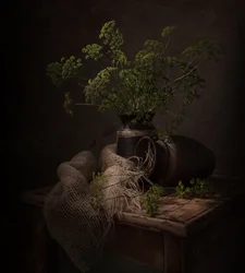 Natura morta botanica in tonalità scure
