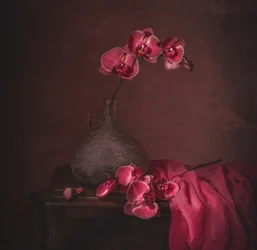 Natura morta con orchidea scura