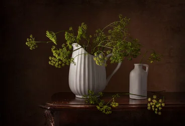 Natura morta con fiori di aneto
