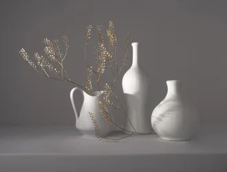 Natura morta botanica minimalista