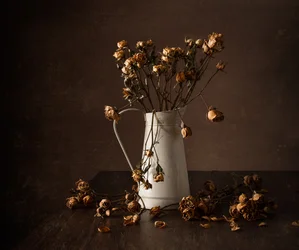 Natura morta con rose secche di Moody