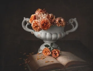 Rose malinconiche e un vecchio libro