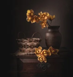 Orchidee gialle malinconiche