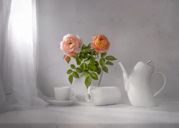 Tè alla rosa del mattino