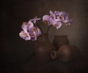 Natura morta con orchidea viola