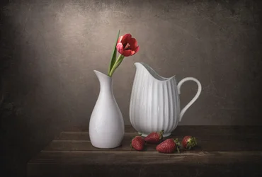 Tulipano rosso e fragole
