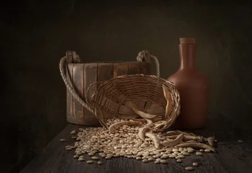 Raccolta rustica dei fagioli