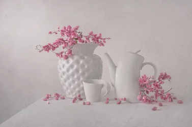 Natura morta in rosa tenue
