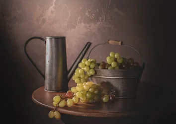 Vendemmia d