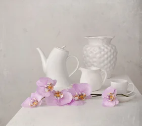 Natura morta con orchidea bianca
