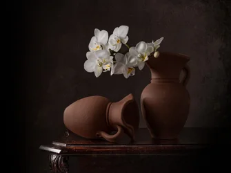 Natura morta con orchidee bianche