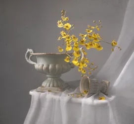 Natura morta con orchidea gialla