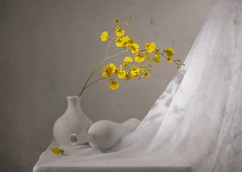 Natura morta con orchidee gialle