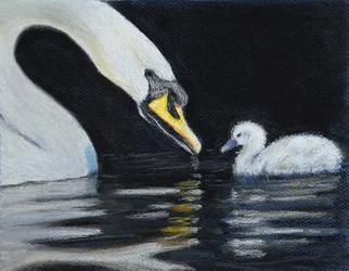 Segui la mamma