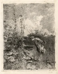 Il botanico