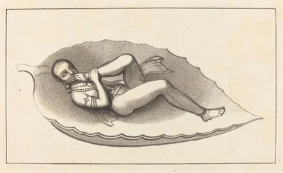 Vishnu, agente creatore di Brahma, atteggiamento, l
