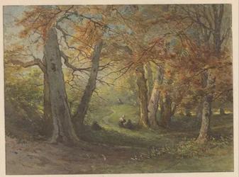 Vista del bosco vicino a Oosterbeek