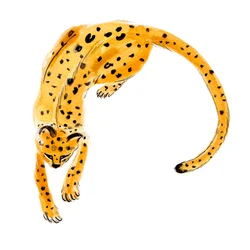 Leopardo arricciato, 2020 (acquerello su carta)