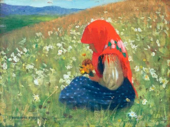 Ragazza dei Tatra, c.1905-07