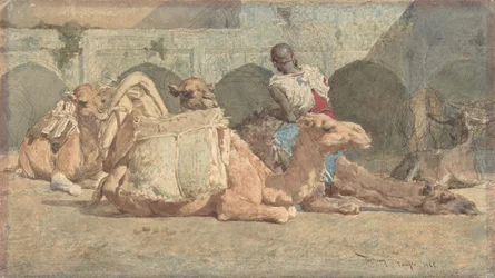 Cammelli che riposano, Tangeri, ca. 1854-74