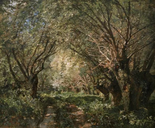Viale di salici a Stillfried an der March