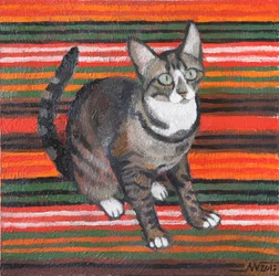 Tabby a righe