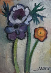 Fiori dai colori vivaci