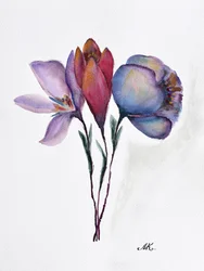 Fiori ad acquerello colorati