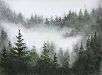 Serenità della foresta nebbiosa