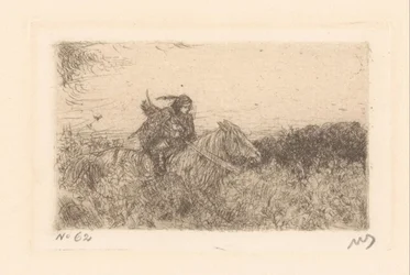 Cavaliere