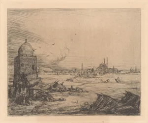 Veduta della città con moschee