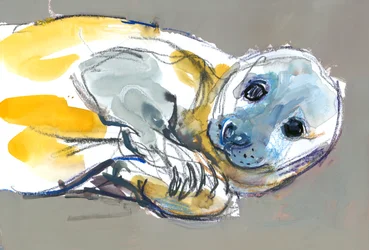 Una curiosa fiducia, 2023