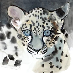 Acuità, 2015