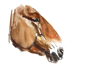 Testa antica (Przewalski)
