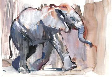 Elefantino, 2012
