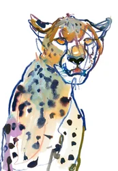 Ghepardo di Chyulu, 2022