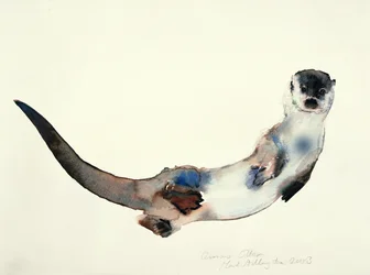 Lontra curiosa, 2003