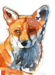 Volpe maschio, 2021