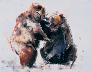 Orsi bruni europei, 2001